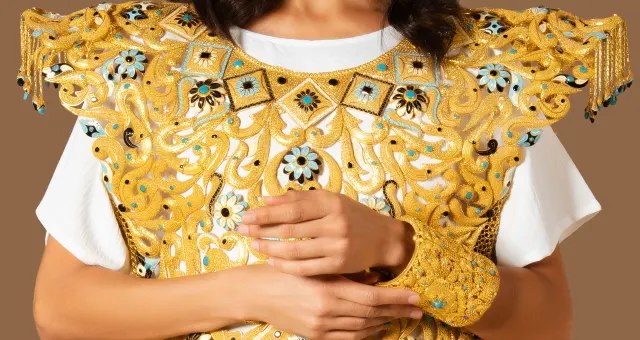 لمحة عامة حول تاريخ سلاسل الجسم التراثية