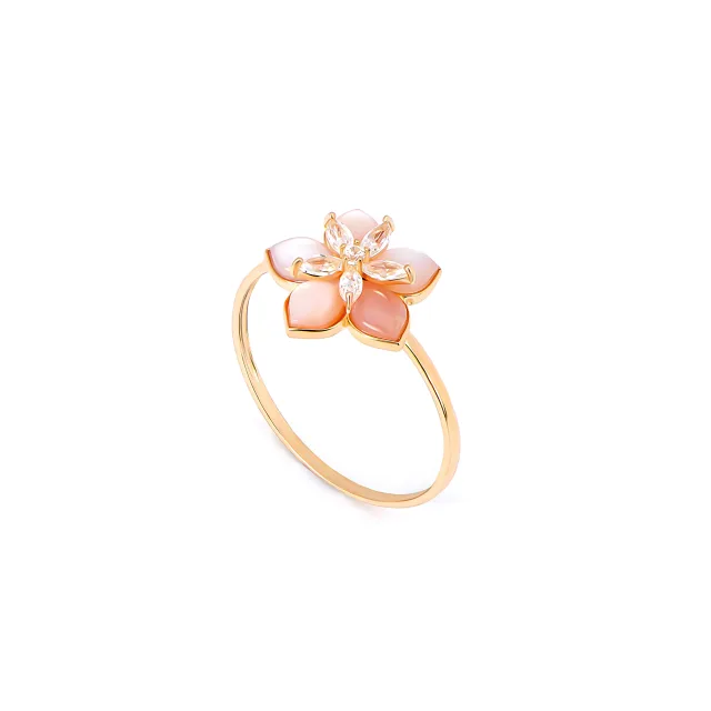 Rings Link