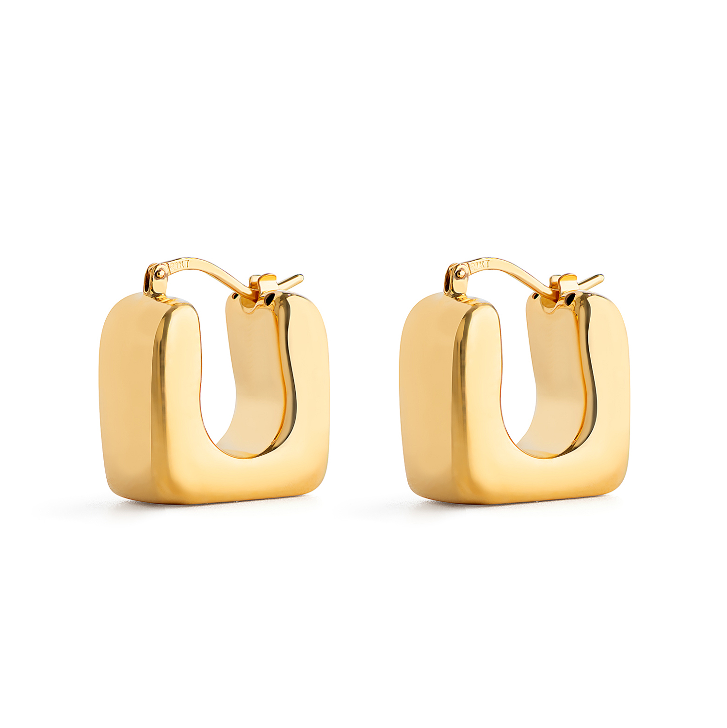 21K Pasion Gold Earrings