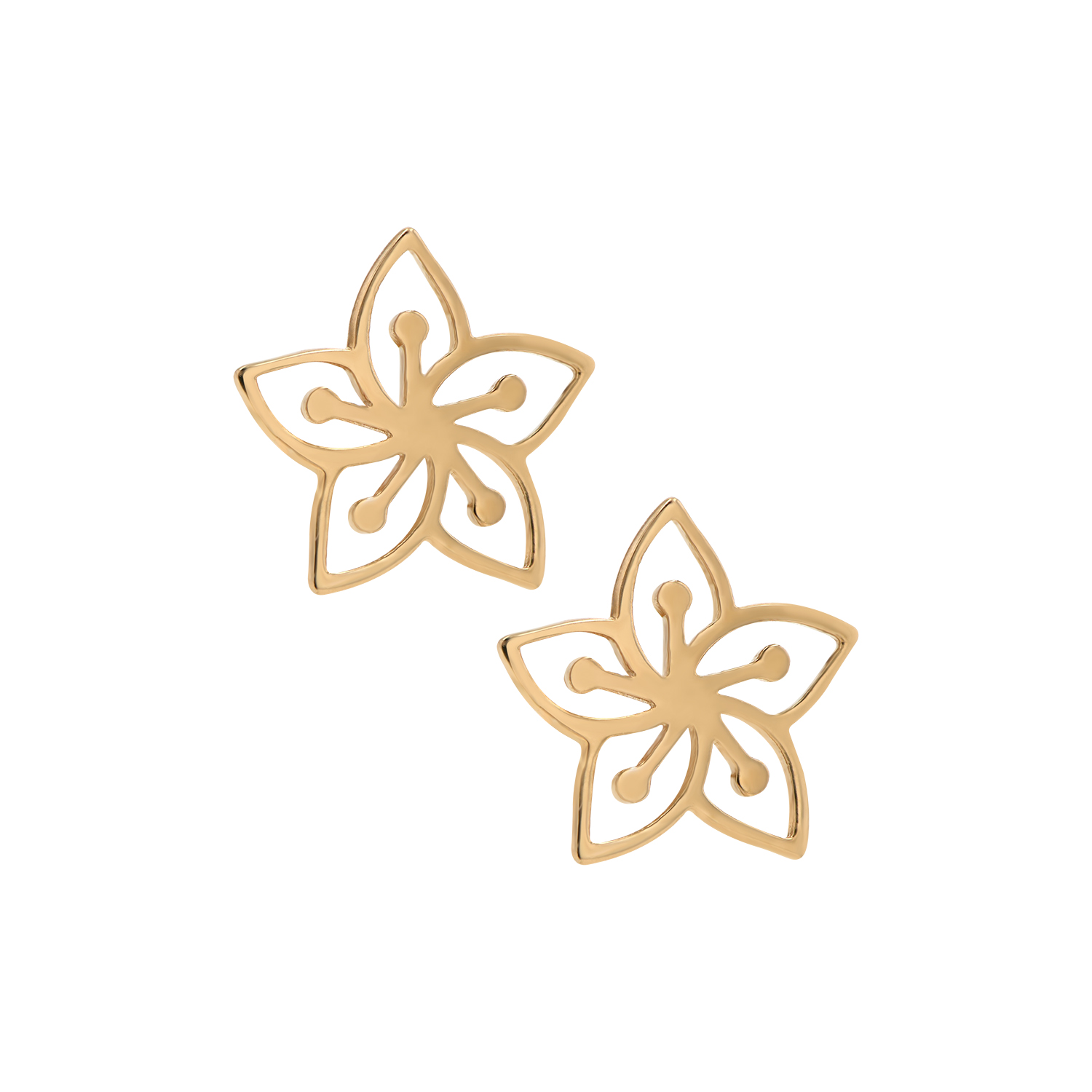 Gold earrings