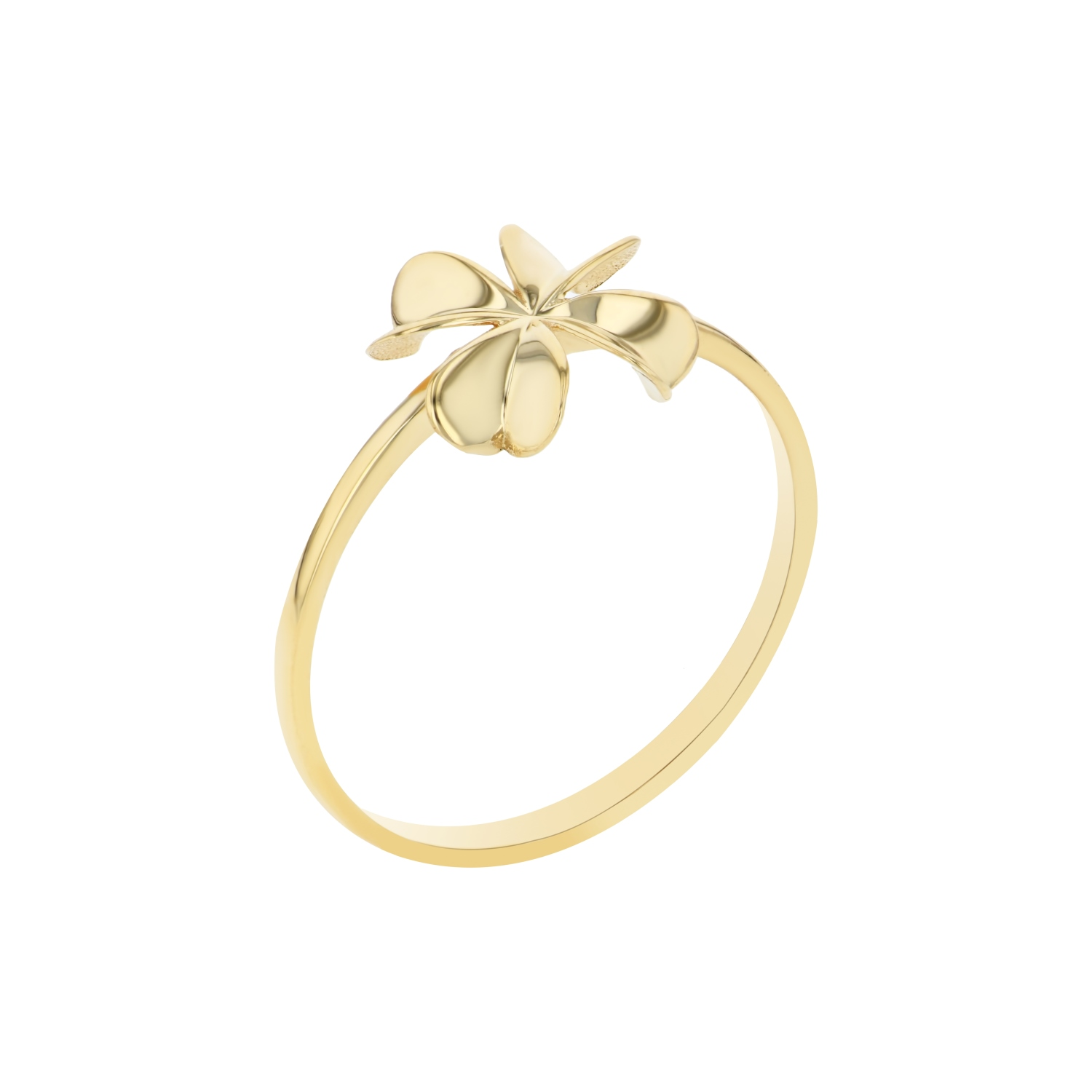 18K Gold Ring