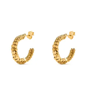 18k Golden Touch Gold Earrings