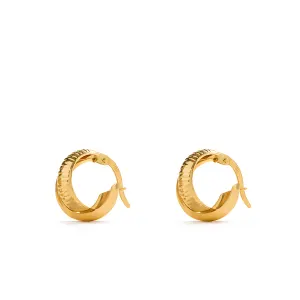 18K Cosmic Grace Gold Earrings