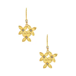 18K Gold Earrings