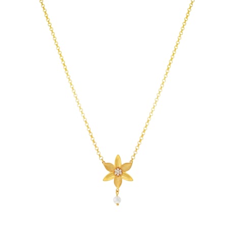 21K Gold Necklace